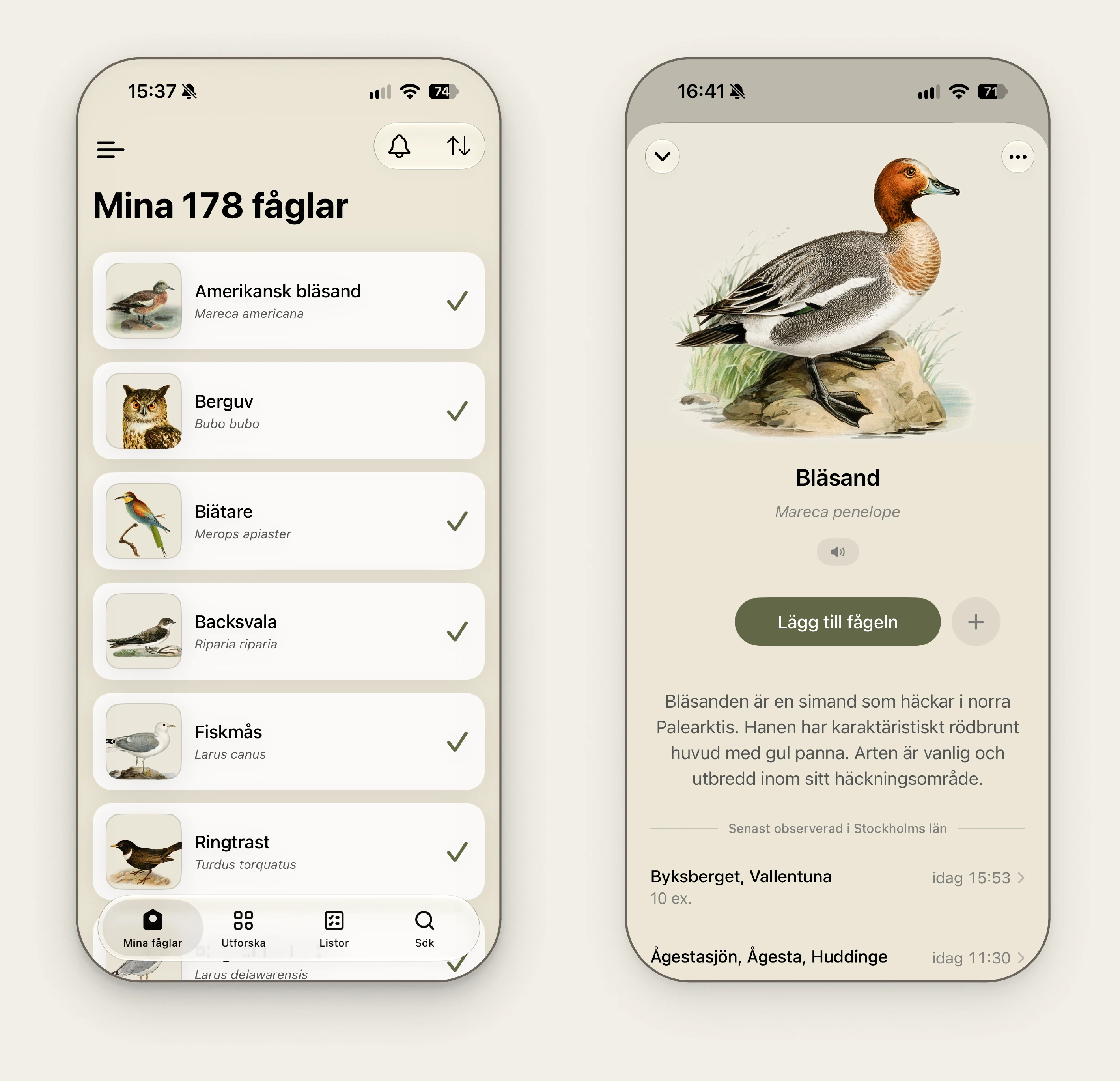 Two phones from the Mina fåglar app: a list of 178 logged birds, and a species page for the wigeon (Bläsand)